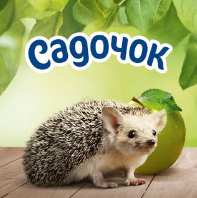Sadočok